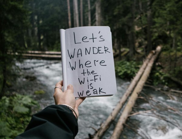 DIGITAL DETOX: RECLAIMING MENTAL CLARITY IN A CONNECTED WORLD