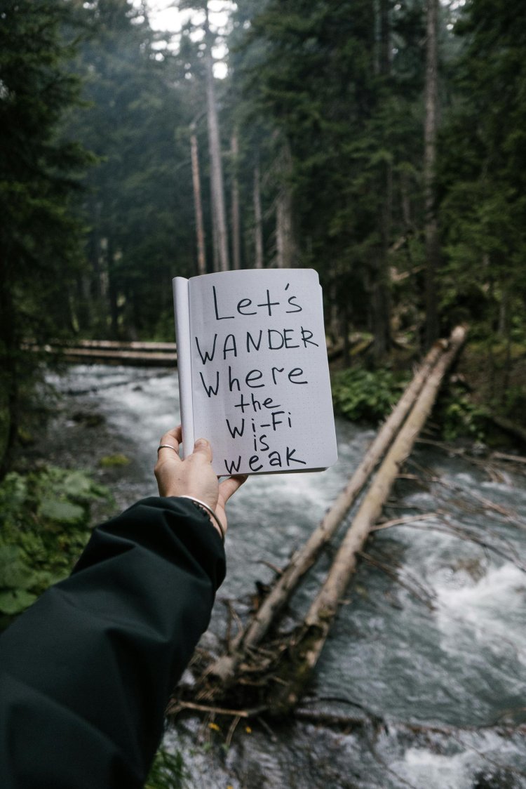 DIGITAL DETOX: RECLAIMING MENTAL CLARITY IN A CONNECTED WORLD